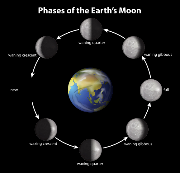 Moon-phases-copy.jpg